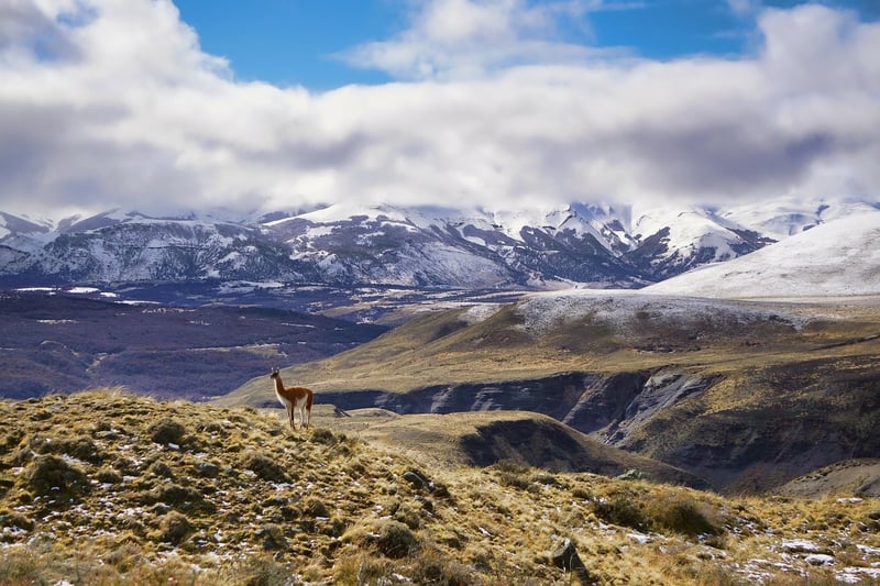 Patagonia Landscape